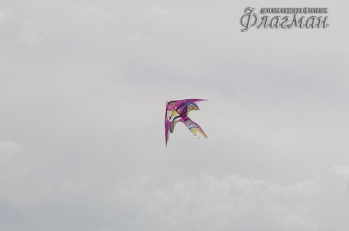 IMGP1256_r